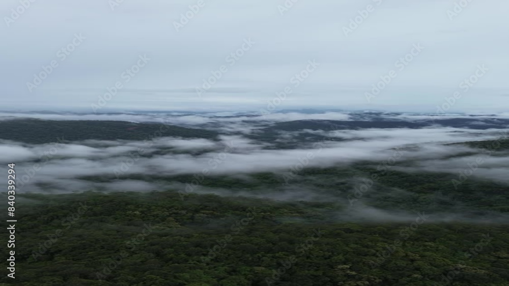 Vertical video 4k high angle landscape Flying through the Asian rainforest, Thailand. Rain mist. Refreshing rainy season that looks soothing in the natural forest area. Vertical video 4k high angle landscape Flying through the Asian rainforest, Thailand. Rain mist. Refreshing rainy season that looks soothing in the natural forest area.