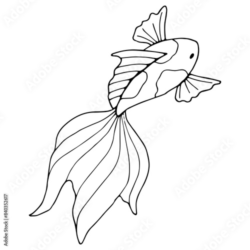 Black line graphics of fish. Outline drawing with sea animal koi fish. Stylized linear sketch of children's coloring book in doodle style. Hand drawn isolated art. Undersea world. Ocean dwellers