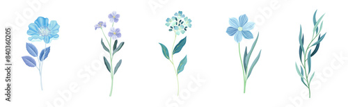 Blue Flowers on Stem as Meadow or Field Plant Vector Set