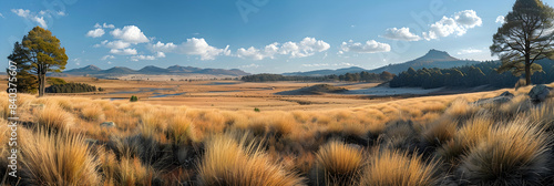 A panoramic view of a nature montane grassland, the rolling hills and tall grasses creating a serene atmosphere