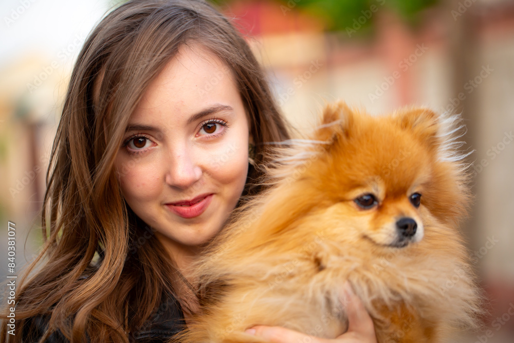 Beautiful young girl with a dog in her arms. Love to the animals. Pet on a walk. Animal protection. Pomeranian Spitz. Beautiful young girl with a dog in her arms. Love to the animals. Pet on a walk. Animal protection. Pomeranian Spitz.