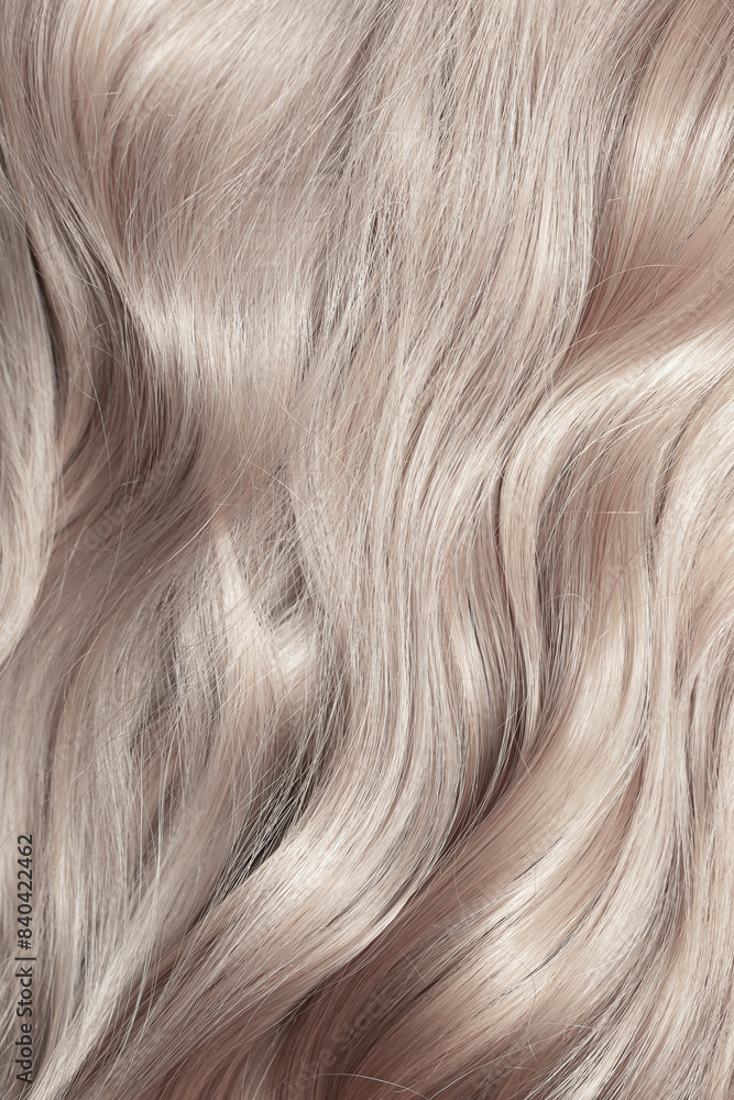 Naklejka premium Blond hair close-up as a background. Women's long light brown hair. Beautifully styled wavy shiny curls. Hair coloring. Hairdressing procedures, extension.