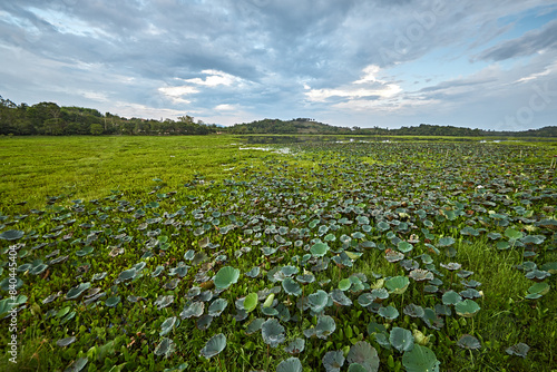 View of Chiang Saen lake, Chiang Rai