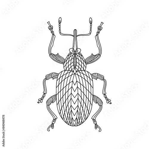 Decorated bug linear illustration