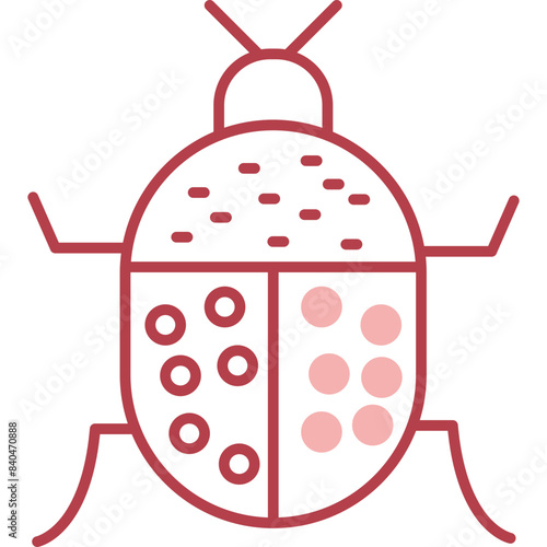 Beetle Icon