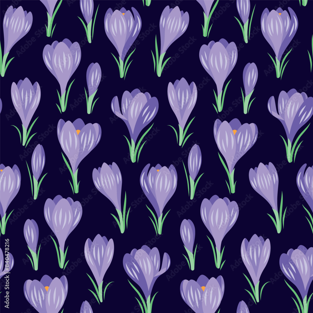 custom made wallpaper toronto digitalVector seamless pattern with spring crocus flowers on a dark blue background