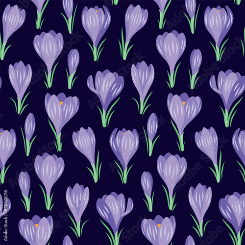 Wallpaper Mural Vector seamless pattern with spring crocus flowers on a dark blue background Torontodigital.ca