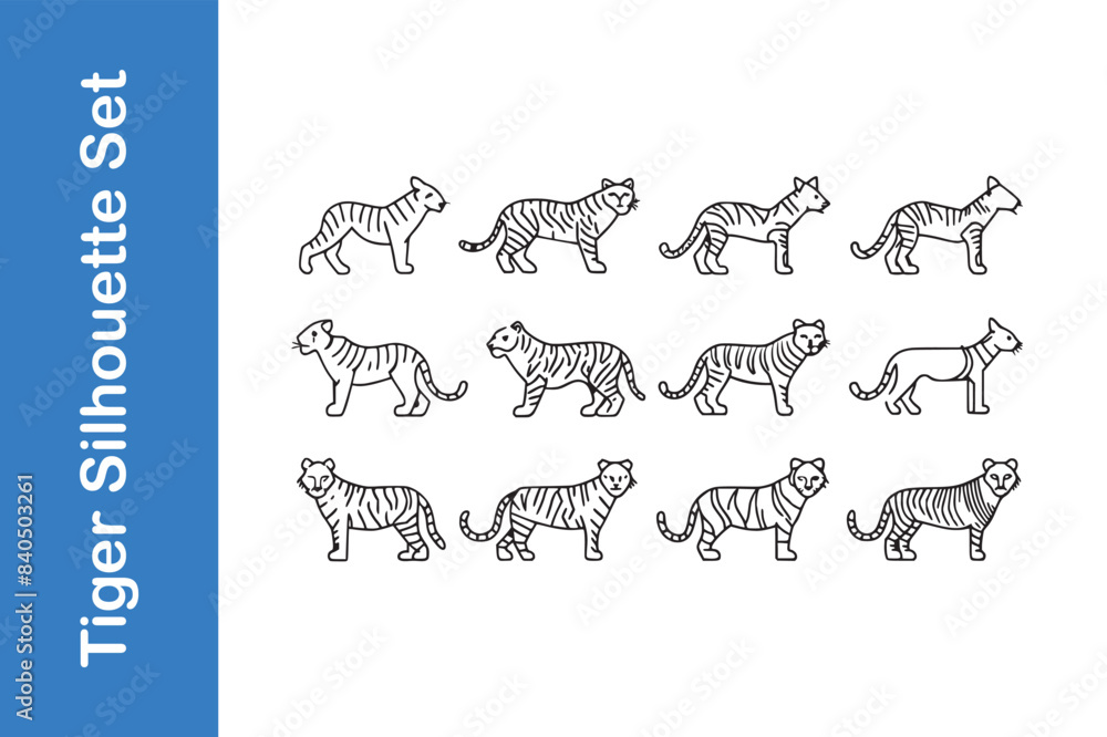 Royal Bengal Tiger with vector collection. Royal Bengal Tiger with vector collection.