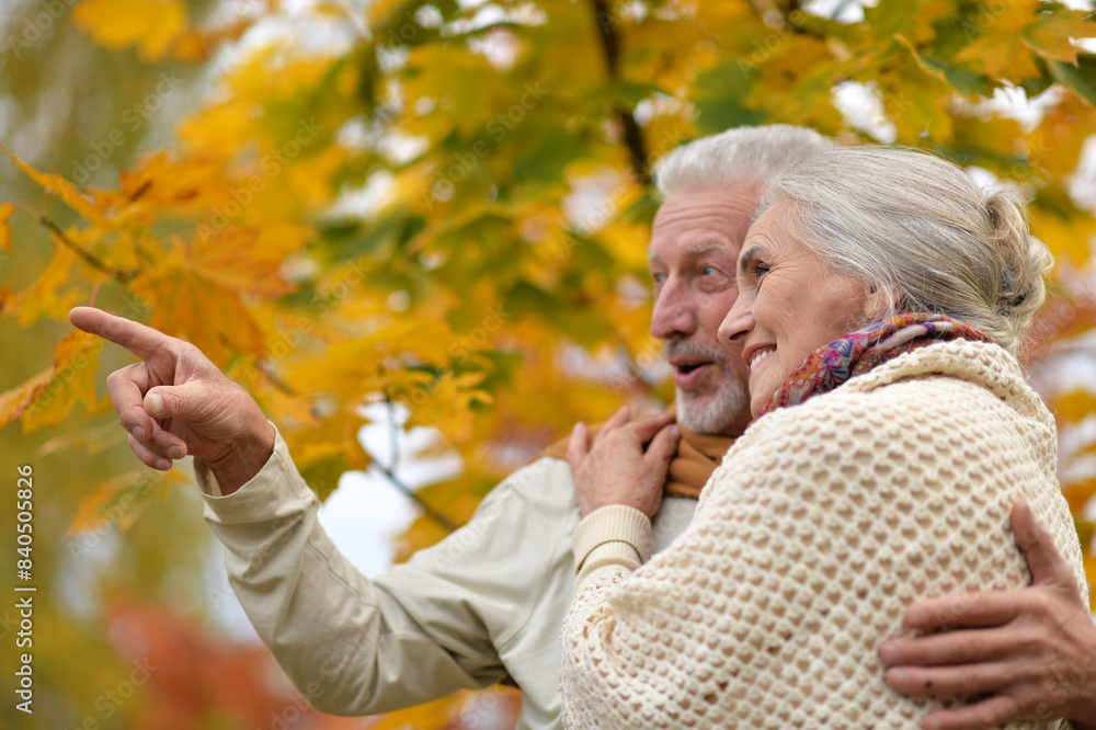 Loving mature couple in the park in summer