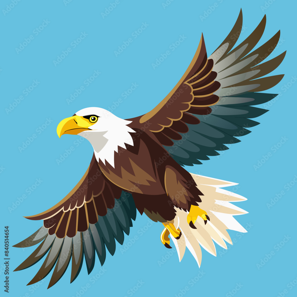Fototapeta premium bald eagle in flight