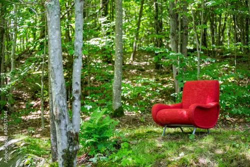 Abstract red chair in green forest in Vermont in New England.