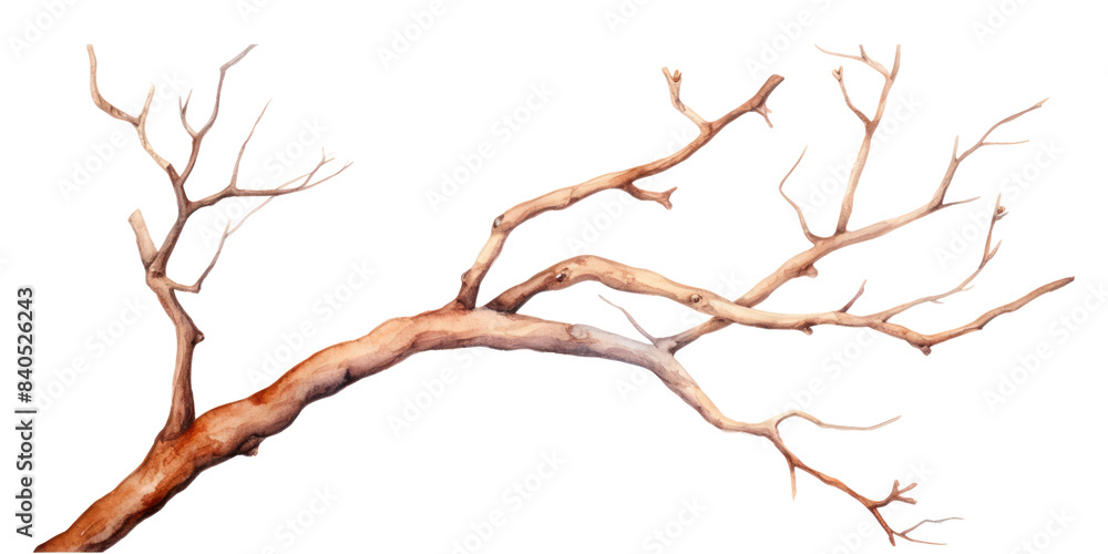 PNG Drawing sketch plant tree. AI generated Image by rawpixel. PNG Drawing sketch plant tree. AI generated Image by rawpixel.