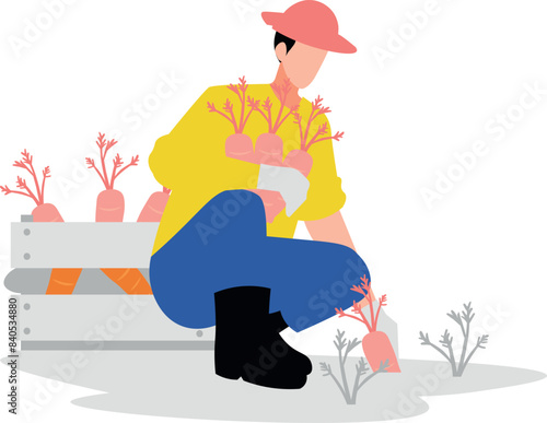 The farmer is plucking carrots.