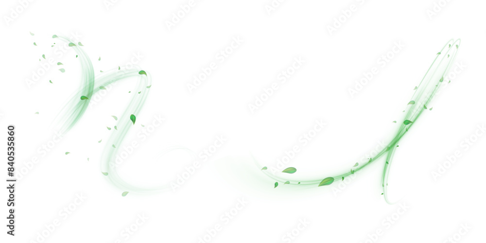 © Valeriia - Green air swirl effect with flying mint leaves isolated on white background PNG, vector realistic illustration for advertising design. © Valeriia - Green air swirl effect with flying mint leaves isolated on white background PNG, vector realistic illustration for advertising design.