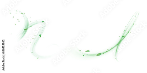 Green air swirl effect with flying mint leaves isolated on white background PNG, vector realistic illustration for advertising design.