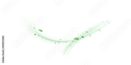Green air swirl effect with flying mint leaves isolated on white background PNG, vector realistic illustration for advertising design.