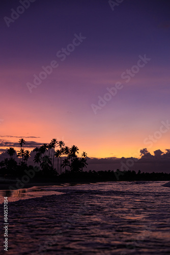 Backlit landscape at sunset on the beach