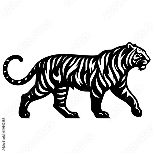 Photography tiger vector art