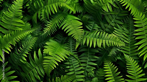 Abstract background of overlapping fern leaves  showcasing rich green textures and patterns