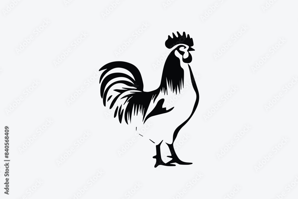 rooster isolated on white background rooster isolated on white background