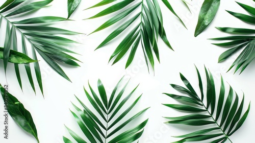 Green palm leaves in a simple pattern on white background  vibrant and minimalistic Great for fresh and clean design visuals