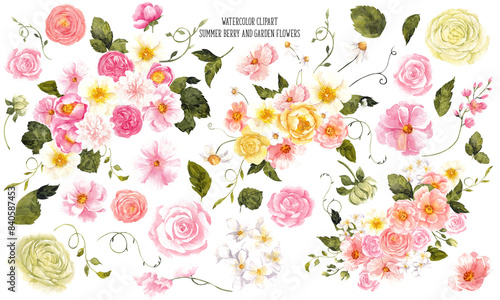 Wallpaper Mural Watercolor set with hand draw fresh summer berries, cherry, raspberry and garden flowers, isolated on transparent background, vintage graphic Torontodigital.ca
