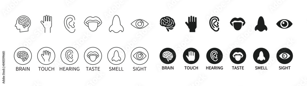 Human five senses and brain icon set (sight, hearing, taste, touch, smell) Human five senses and brain icon set (sight, hearing, taste, touch, smell)