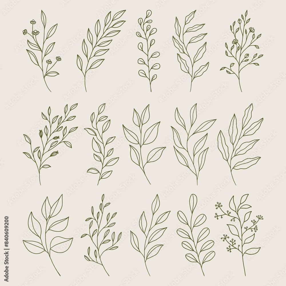 Set of leaves illustration vector Set of leaves illustration vector