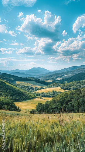 Grass field with distant mountain