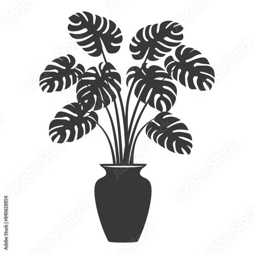 Monstera Deliciosa in Vase: Bold Silhouette Style Indoor Plant