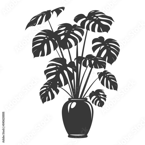 Monstera Deliciosa Plant Silhouette in Elegant Vase, Botanical Illustration.
