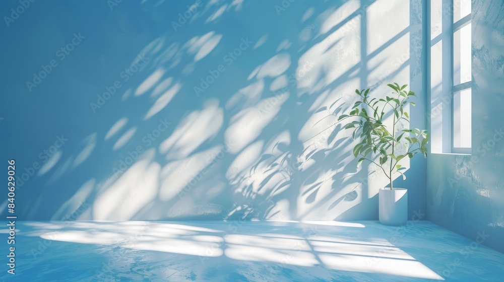 Light Blue Room With Window And Plant Light Blue Room With Window And Plant