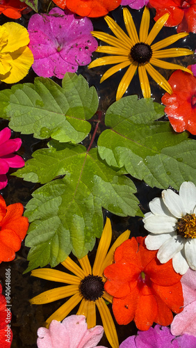 Floating Flowers and Leaves