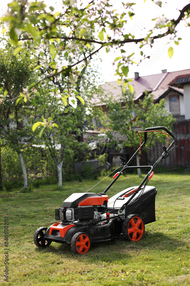Fototapeta premium Modern lawn mower on green grass in garden