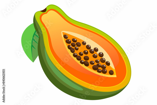 papaya vector illustration