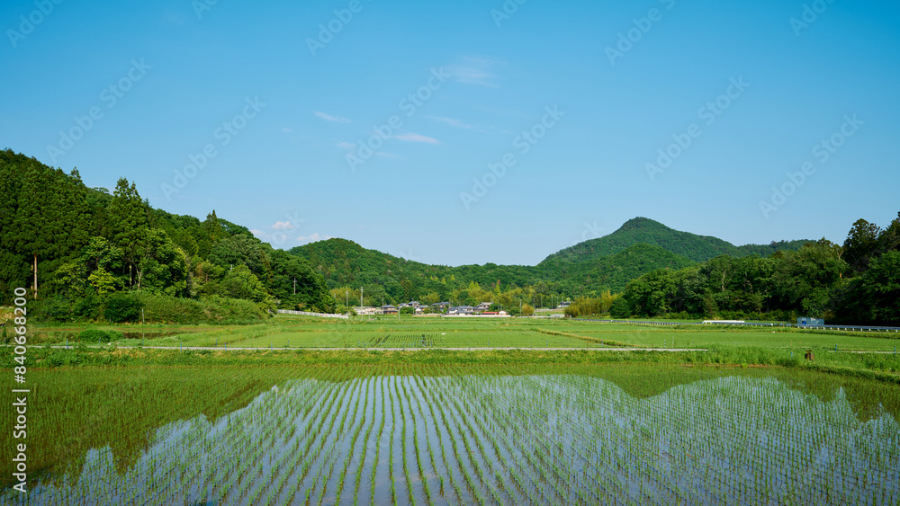 農村の風景