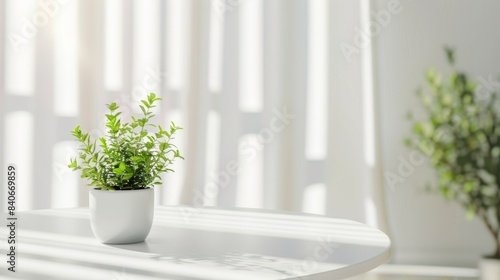 Sunlit Potted Plant on Modern White Table. A small potted plant basking in soft sunlight on a sleek white table, conveying freshness and tranquility in a modern setting.