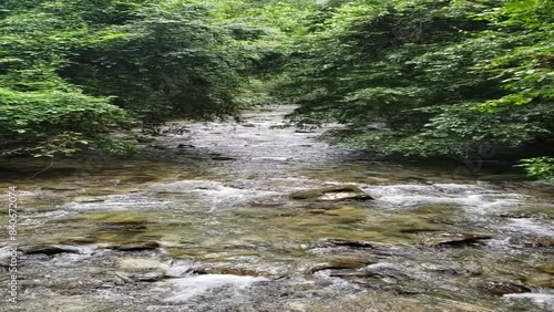 river in the rainforest photo