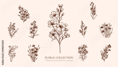 Elements set botanical line art flowers drawing invitation decoration Valentine's Day, greeting cards, Mother's Day, botanical graphic drawing.Plants and bouquets without filling the white background.