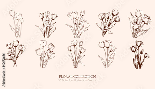 Wallpaper Mural Elements set botanical line art flowers drawing invitation decoration Valentine's Day, greeting cards, Mother's Day, botanical graphic drawing.Plants and bouquets without filling the white background. Torontodigital.ca