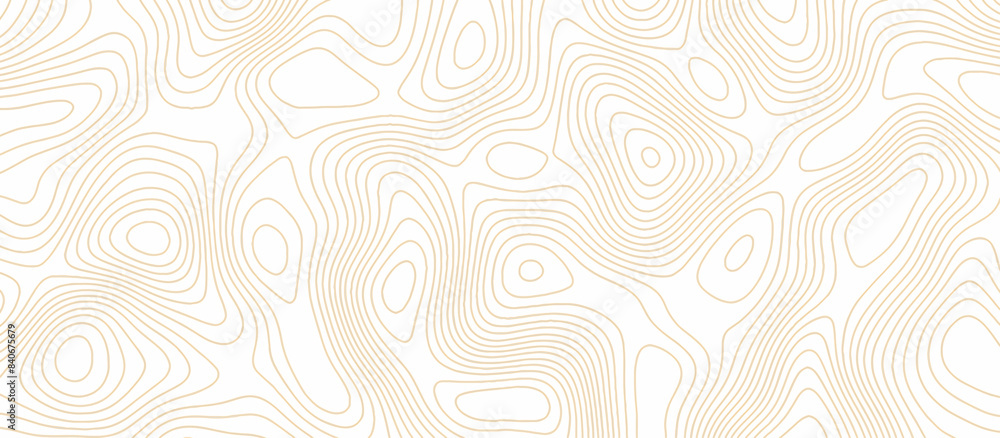 Fototapeta premium Abstract wave paper curved reliefs background .gradient multicolor wave curve lines banner background design .topographic contours map background .Vector geographic contour map.