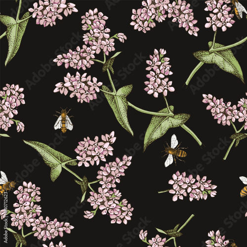 Seamless pattern with honeybees pollinating blooming buckwheat plants