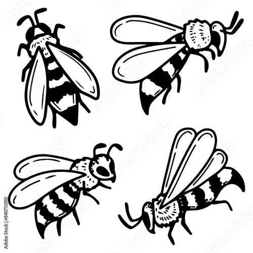 Bee doodle set. Flying insect wasp pollinator. Honey apiary. Hand drawn vector sketch illustration.