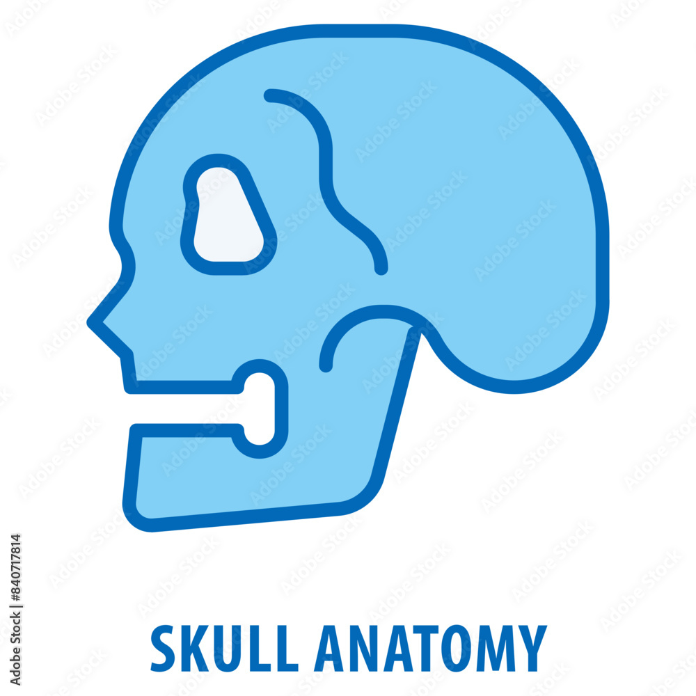 Skull Anatomy Icon simple and easy to edit for your design elements Skull Anatomy Icon simple and easy to edit for your design elements