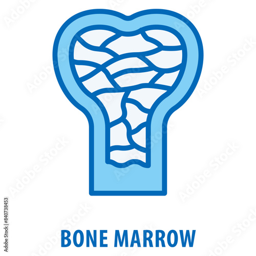 Bone marrow Icon simple and easy to edit for your design elements
