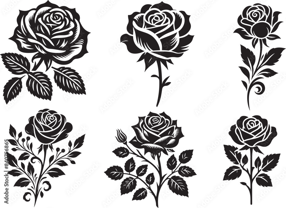 set of roses set of roses