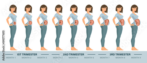 Young pregnant woman set. Fetal growth at different stages of pregnancy, monthly period. Illustration, vector.