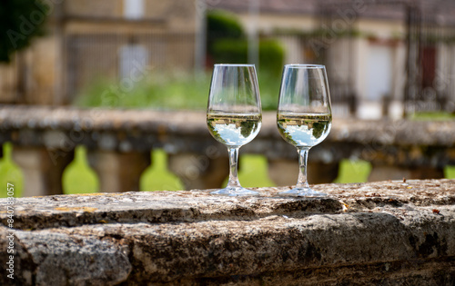 Glasses of white wine in old wine domain on Sauternes vineyards in Barsac village and old castle on background, Bordeaux, France photo