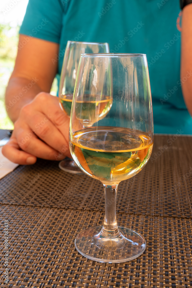 Obraz premium Tasting of Bordeaux white wine in Sauternes, left bank of Gironde Estuary, France. Glasses of white sweet French wine served in restaurant