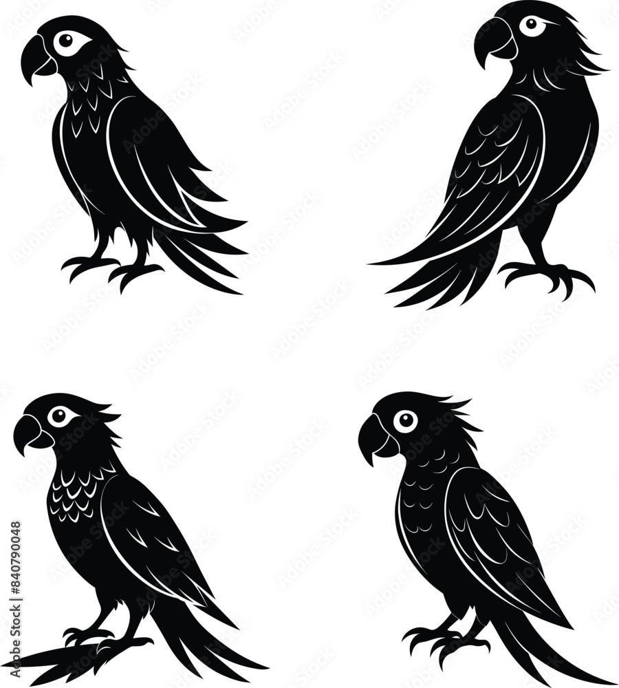 Set of silhouettes of sitting parrot in black in different poses isolated on a white background. Set of silhouettes of sitting parrot in black in different poses isolated on a white background.